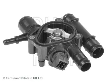 blue print adn19231c