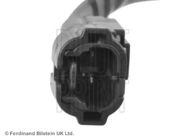 blue print ads71476