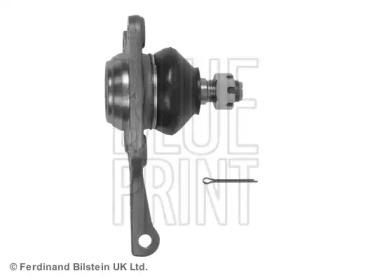 blue print adt386144
