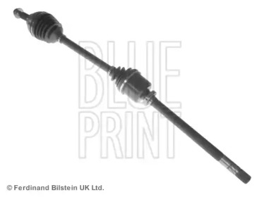 blue print adz989504