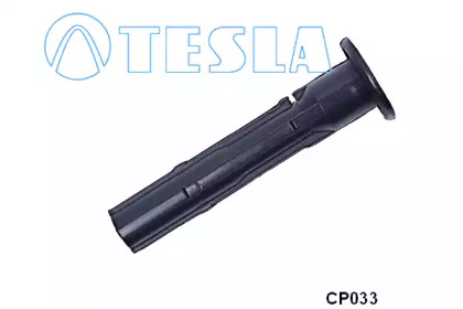 TESLA CP033