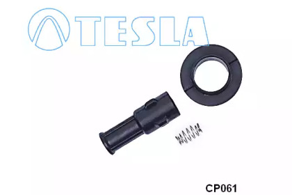 TESLA CP061