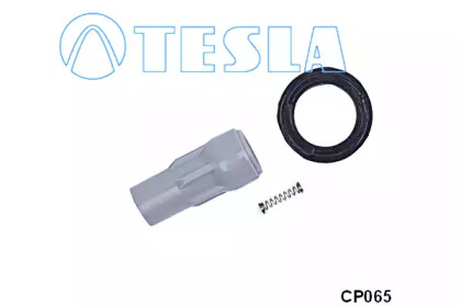 TESLA CP065