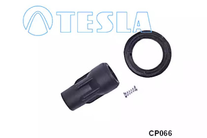 TESLA CP066