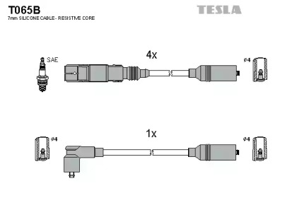 TESLA T065B