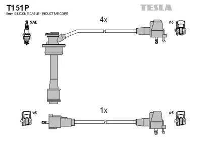 TESLA T151P