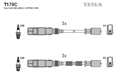 TESLA T170C