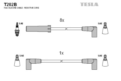 TESLA T202B