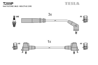 TESLA T209P