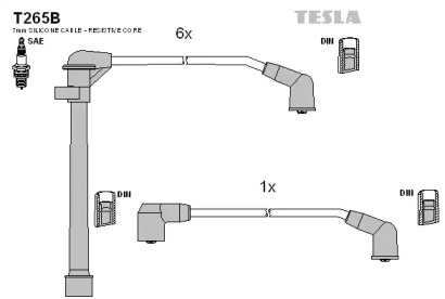 TESLA T265B