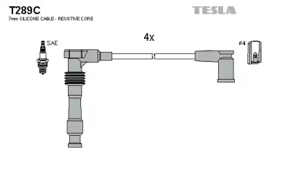 TESLA T289C