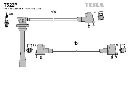 TESLA T522P