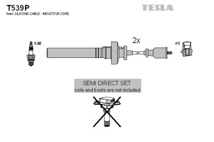 TESLA T539P