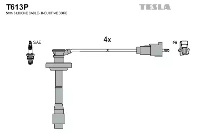 TESLA T613P