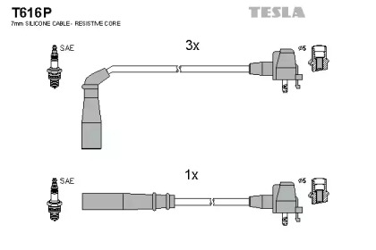 TESLA T616P