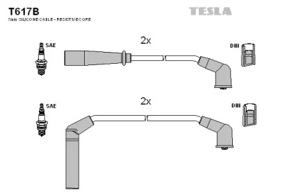 TESLA T617B