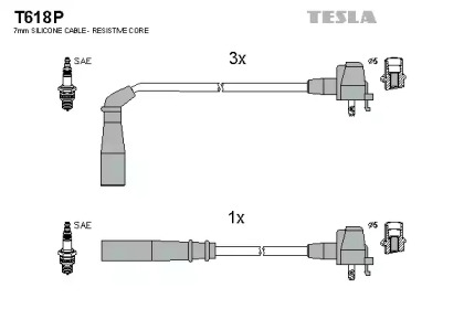 TESLA T618P