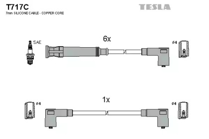 TESLA T717C