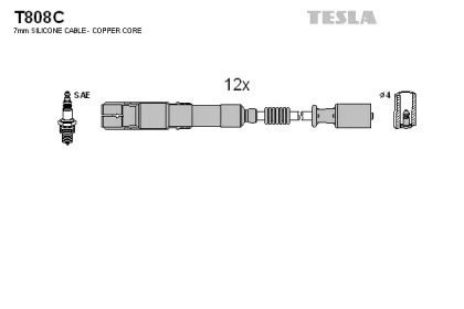 TESLA T808C