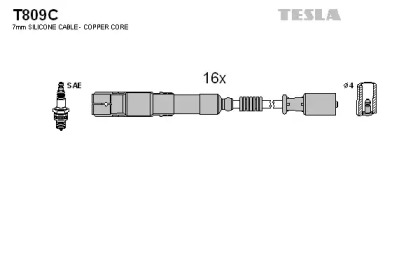 TESLA T809C