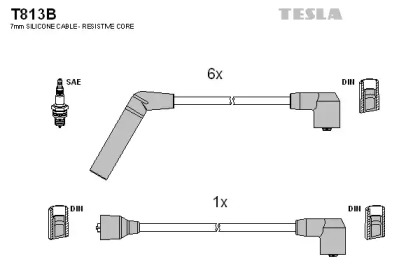 TESLA T813B