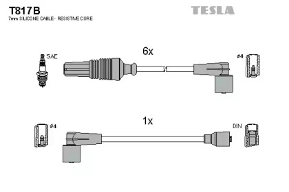 TESLA T817B