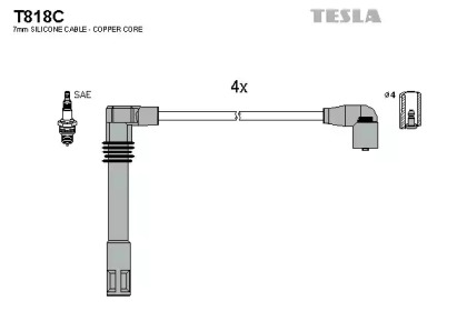 TESLA T818C