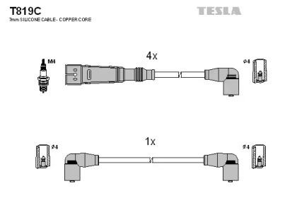 TESLA T819C