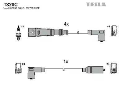 TESLA T820C