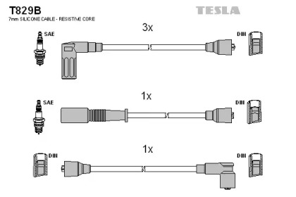 TESLA T829B