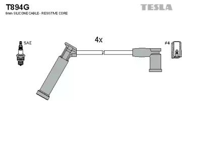 TESLA T894G