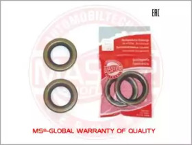 MASTER-SPORT 210117010431210SET2 MASTER-SPORT 210117010431210SET2