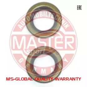 MASTER-SPORT 2101-3103038-SET/2/-MS MASTER-SPORT 2101-3103038-SET/2/-MS