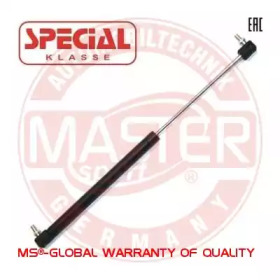 MASTER-SPORT 6308019-PCS-MS