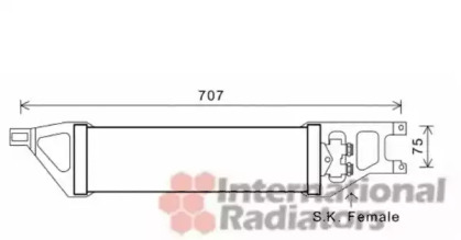 VAN WEZEL 30003539