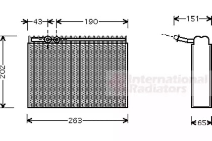 VAN WEZEL 4000V062