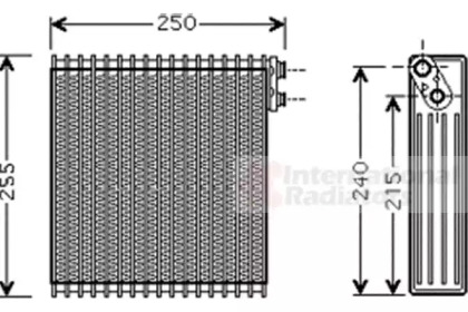 VAN WEZEL 5300V389