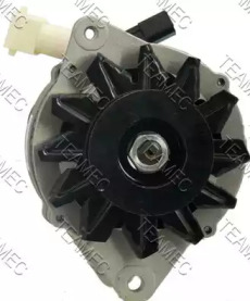teamec 211811