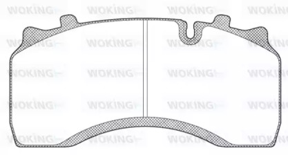 WOKING JSA 11323.10