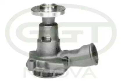 GGT PA11233