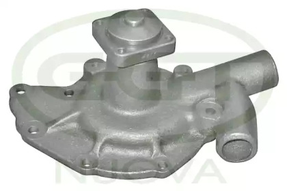 GGT PA11260