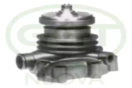 GGT PA12186