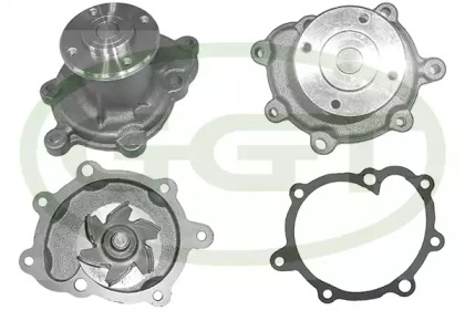 GGT PA12717
