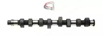 CAMPRO CP10203