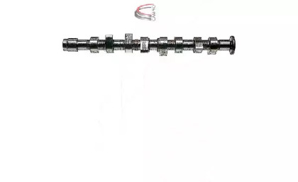 CAMPRO CP10232