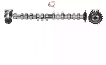 CAMPRO CP10233