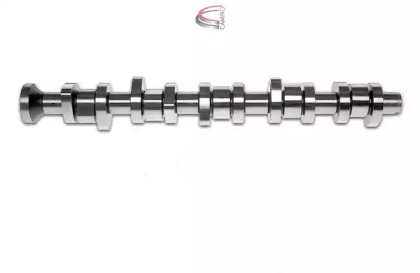 CAMPRO CP10234