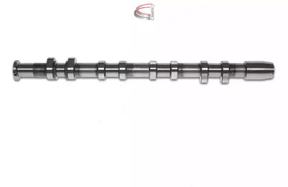 CAMPRO CP10281