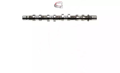 CAMPRO CP11429