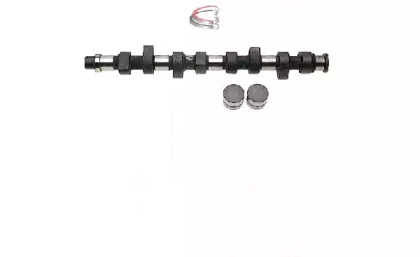 CAMPRO CP60219